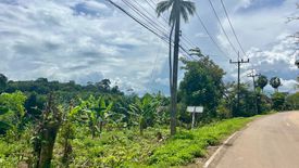 Land for sale in Tha Yu, Phang Nga