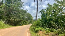 Land for sale in Tha Yu, Phang Nga