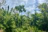 Land for sale in Tha Yu, Phang Nga