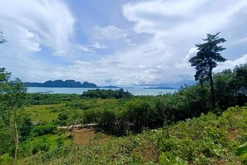 Land for sale in Tha Yu, Phang Nga