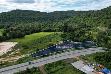 Land for sale in Wang Thong, Phitsanulok