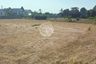 Land for sale in Nong Prue, Chonburi