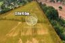 Land for sale in Nong Prue, Chonburi