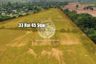 Land for sale in Nong Prue, Chonburi