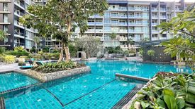 1 Bedroom Condo for rent in Apus, Nong Prue, Chonburi