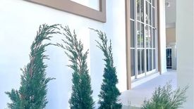 3 Bedroom House for sale in San Sai Noi, Chiang Mai