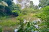 Land for sale in Ko Khanun, Chachoengsao