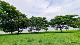 Land for sale in Prime Nature Villa, Racha Thewa, Samut Prakan