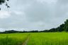 Land for sale in On Klang, Chiang Mai