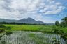 Land for sale in On Klang, Chiang Mai