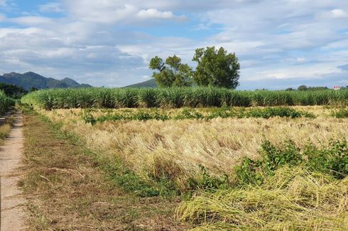 Land for sale in Phawo, Tak