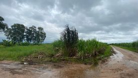 Land for sale in Phawo, Tak