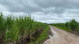 Land for sale in Phawo, Tak