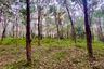 Land for sale in Khao Thong, Krabi