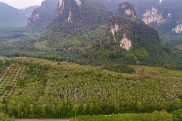 Land for sale in Khao Thong, Krabi
