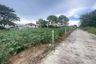 Land for sale in Pong, Chonburi