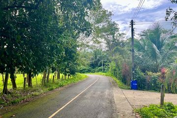 Land for sale in Thai Mueang, Phang Nga