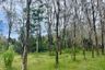 Land for sale in Thai Mueang, Phang Nga