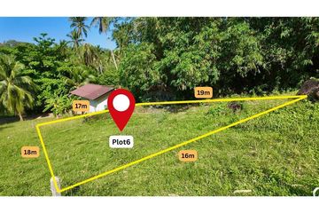 Land for sale in Mae Nam, Surat Thani