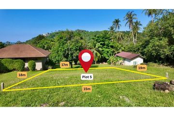 Land for sale in Mae Nam, Surat Thani