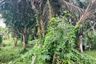 Land for sale in Thai Mueang, Phang Nga