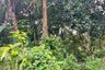 Land for sale in Thai Mueang, Phang Nga