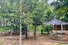 Land for sale in Khok Kloi, Phang Nga