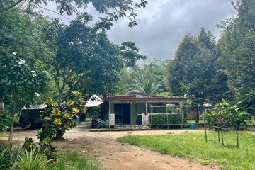 Land for sale in Khok Kloi, Phang Nga