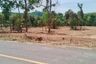 Land for sale in Khlong Khian, Phang Nga