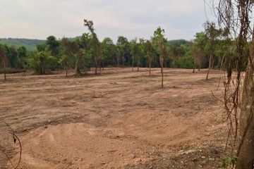 Land for sale in Khlong Khian, Phang Nga