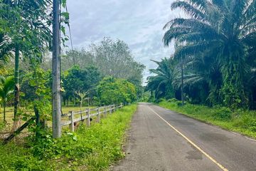 Land for sale in Thai Mueang, Phang Nga