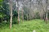 Land for sale in Thai Mueang, Phang Nga