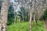 Land for sale in Thai Mueang, Phang Nga