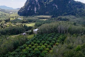 Land for sale in Nong Thale, Krabi