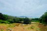Land for sale in Tha Yu, Phang Nga