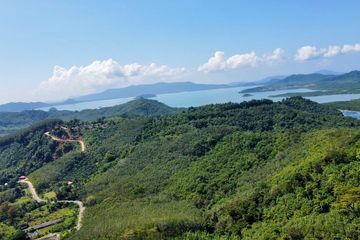 Land for sale in Tha Yu, Phang Nga