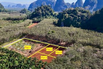 Land for sale in Ao Nang, Krabi