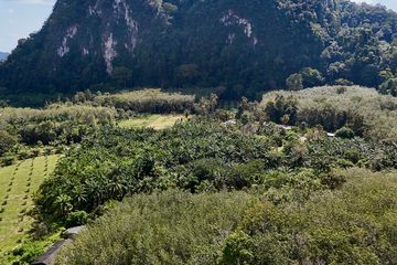 Land for sale in Nong Thale, Krabi
