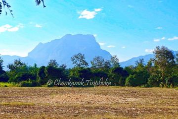 Land for sale in Chiang Dao, Chiang Mai