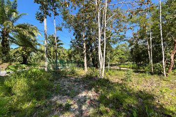 Land for rent in Ao Nang, Krabi
