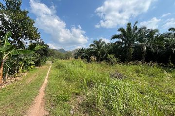 Land for sale in Nong Thale, Krabi
