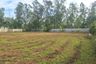 Land for sale in Kram, Rayong