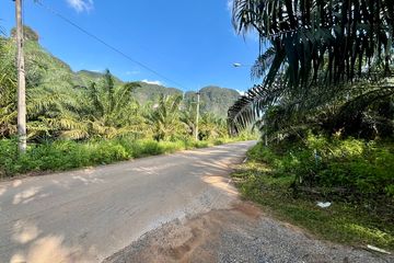 Land for sale in Nong Thale, Krabi