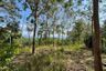 Land for sale in 