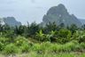 Land for sale in Ao Nang, Krabi