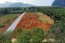 Land for sale in Nong Thale, Krabi