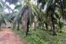 Land for sale in Ao Nang, Krabi