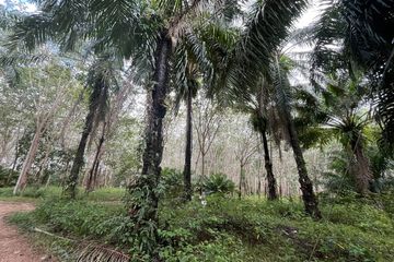 Land for sale in Ao Nang, Krabi