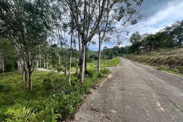 Land for sale in Nong Thale, Krabi