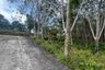 Land for sale in Nong Thale, Krabi
